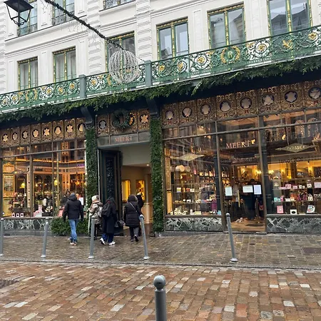 公寓 Ametista 里尔